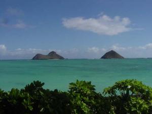 Paul Mitchell Estate - 