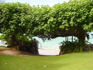 Paul Mitchell Estate - 